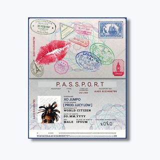 Artwork for Passport by XØ JÜMPO